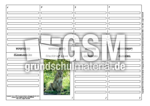 Faltbuch-Steckbrief-Löwe-2.pdf